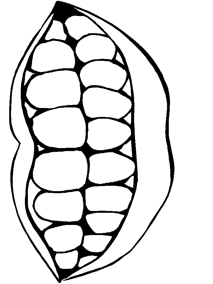disegni denti da colorare