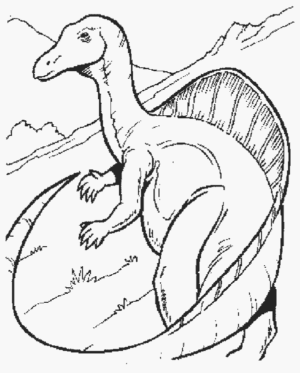 disegni dinosauri da colorare