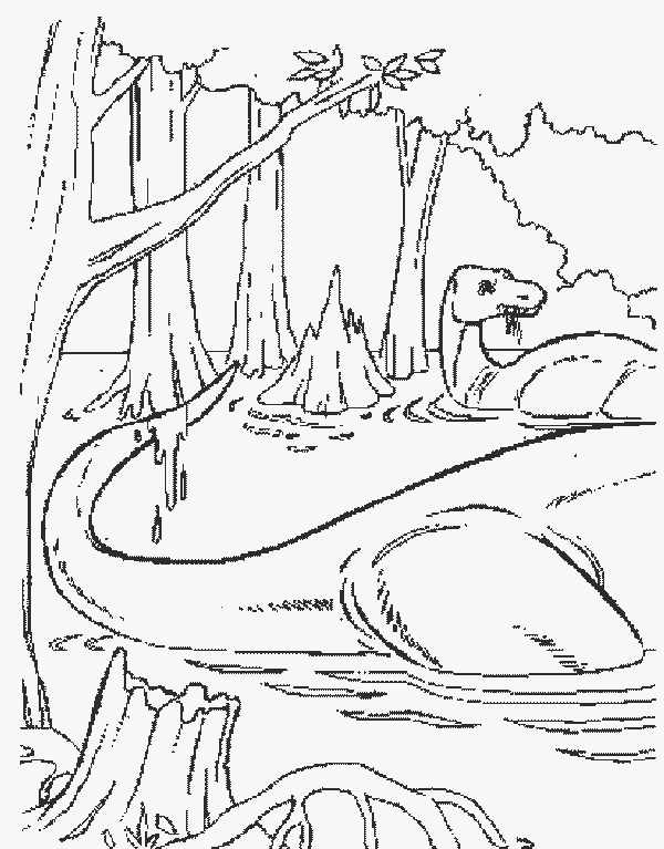 disegni dinosauri da colorare