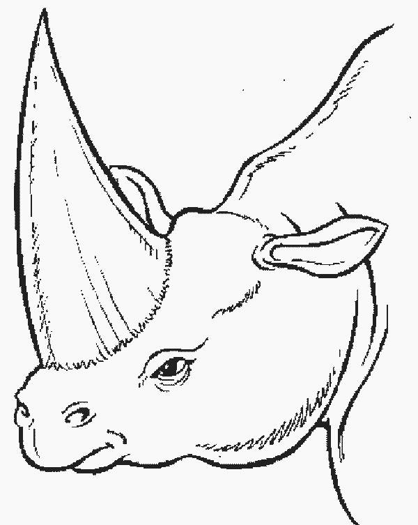 disegni dinosauri da colorare