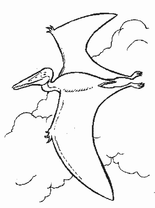 disegni dinosauri da colorare