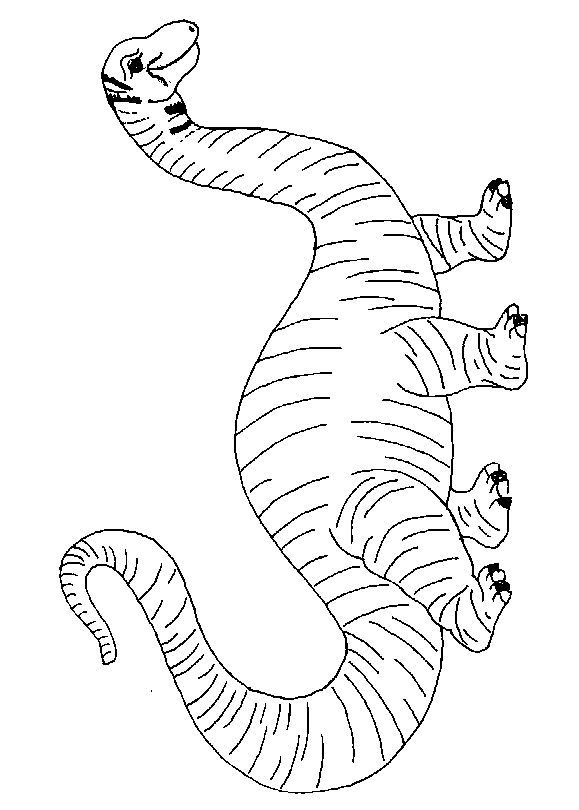 disegni dinosauri da colorare