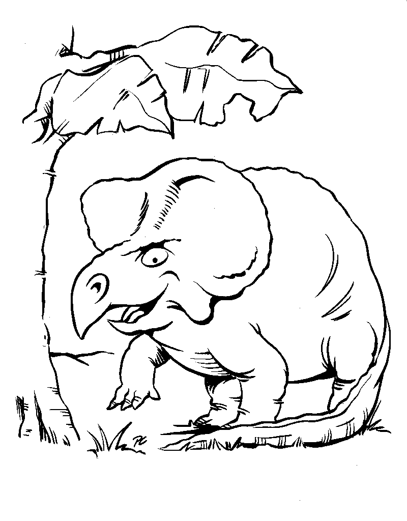 disegni dinosauri da colorare