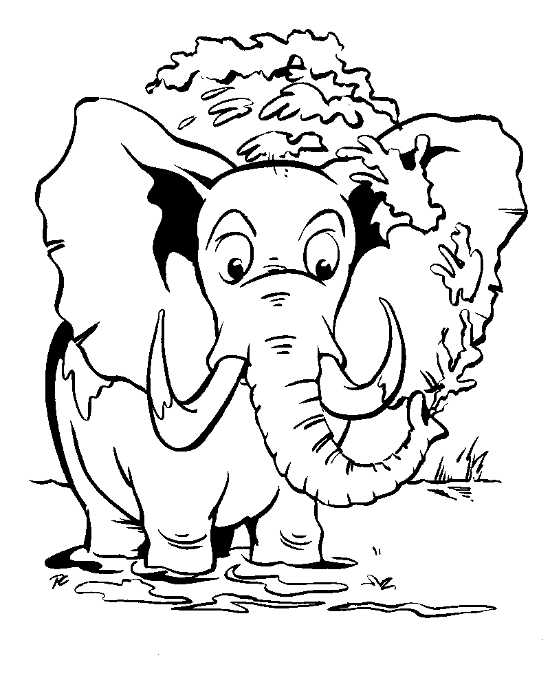disegni dinosauri da colorare