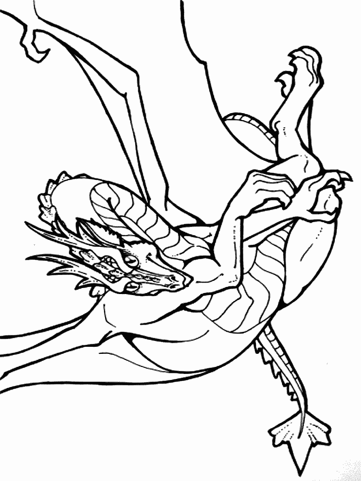 disegni draghi da colorare