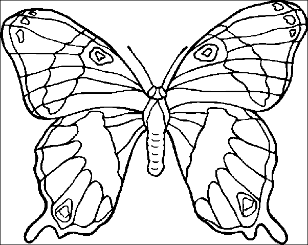 disegni estate da colorare