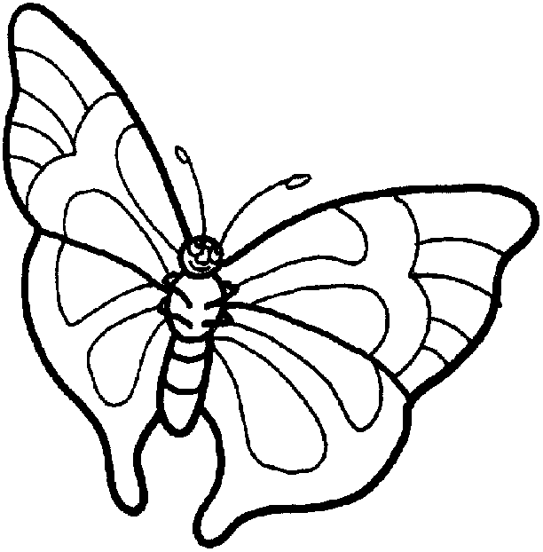 disegni farfalle da colorare