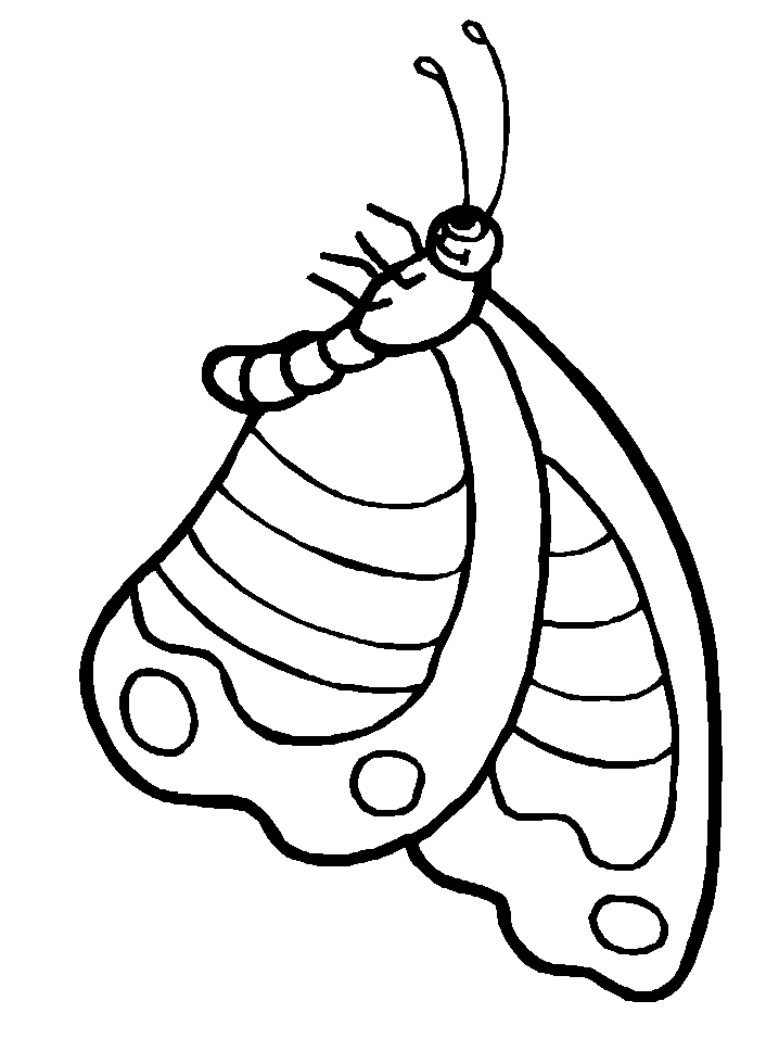 disegni farfalle da colorare