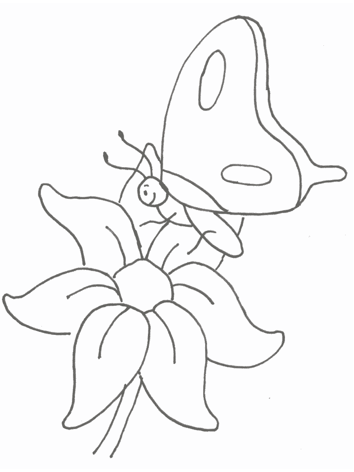 disegni farfalle da colorare