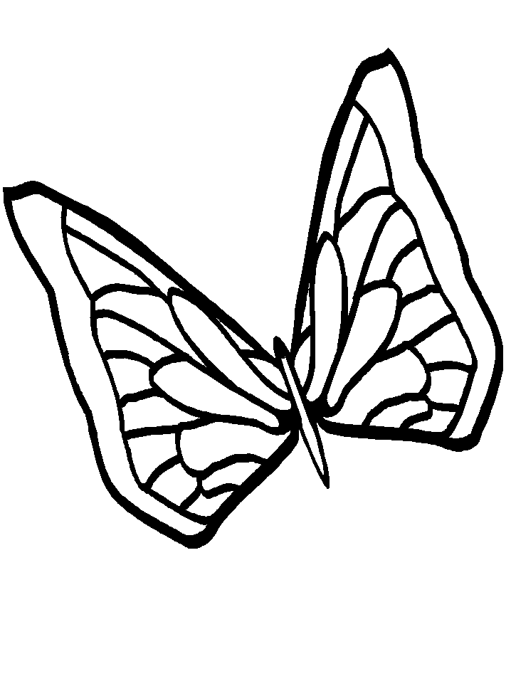 disegni farfalle da colorare