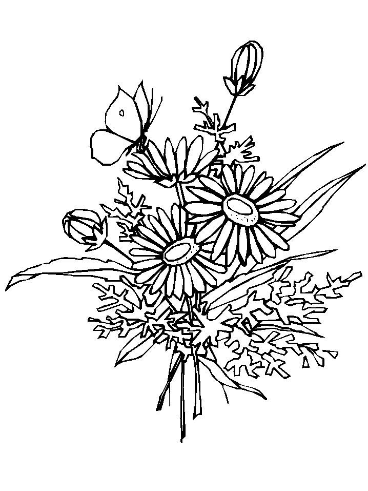 disegni farfalle da colorare