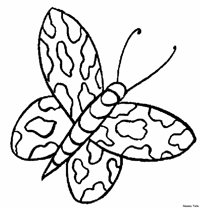 disegni farfalle da colorare