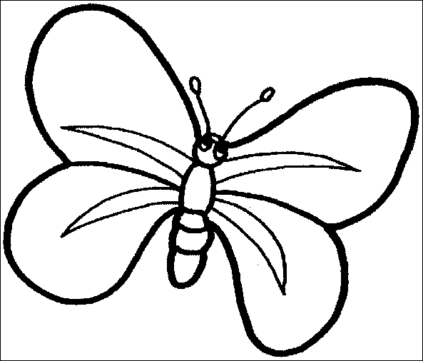disegni farfalle da colorare