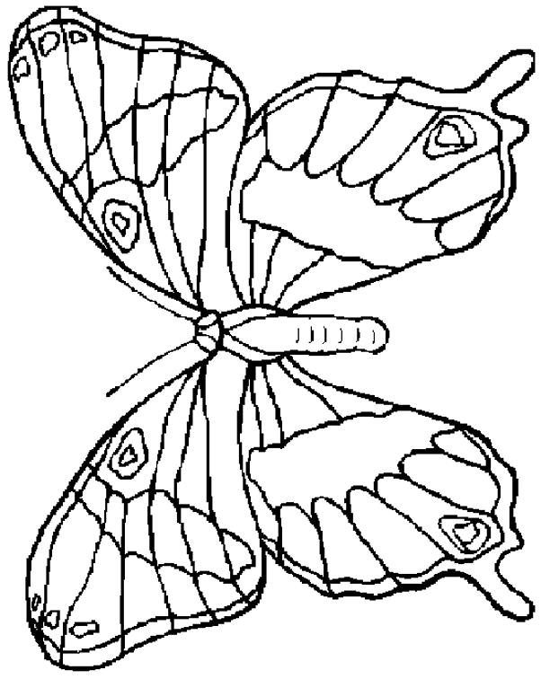 disegni farfalle da colorare