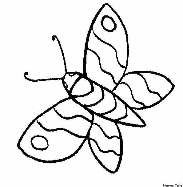 disegni farfalle da colorare
