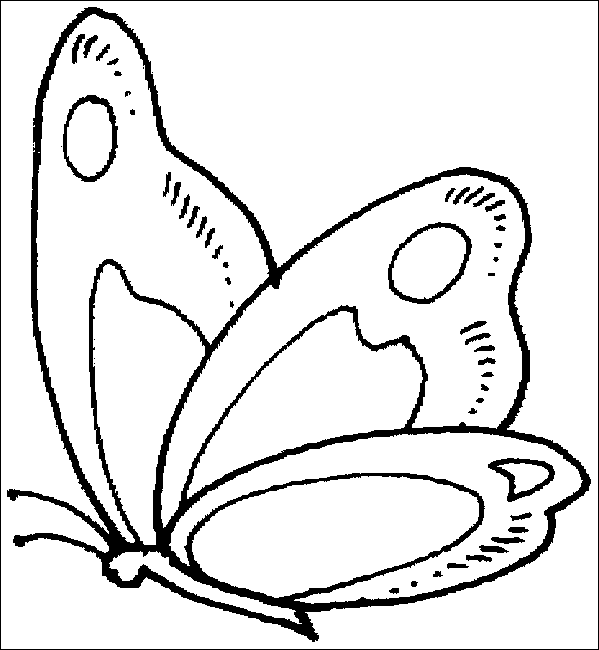disegni farfalle da colorare