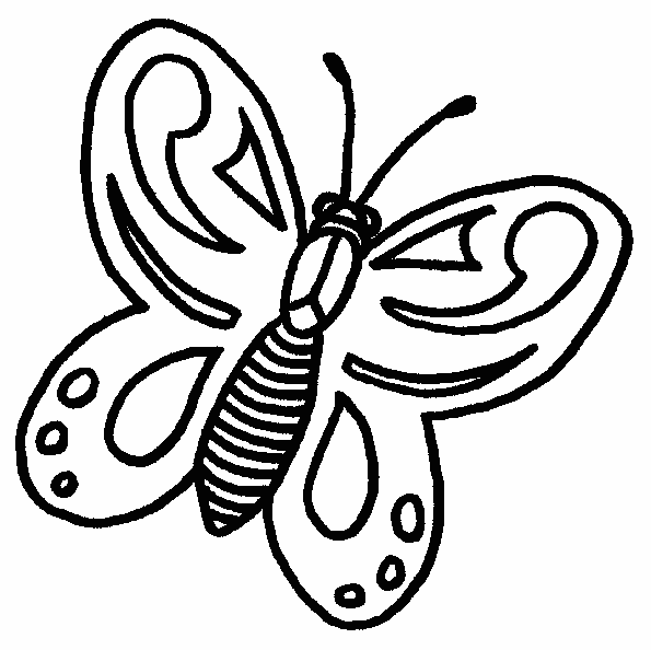 disegni farfalle da colorare