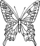 disegni farfalle da colorare