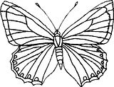 disegni farfalle da colorare