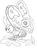 disegni farfalle da colorare