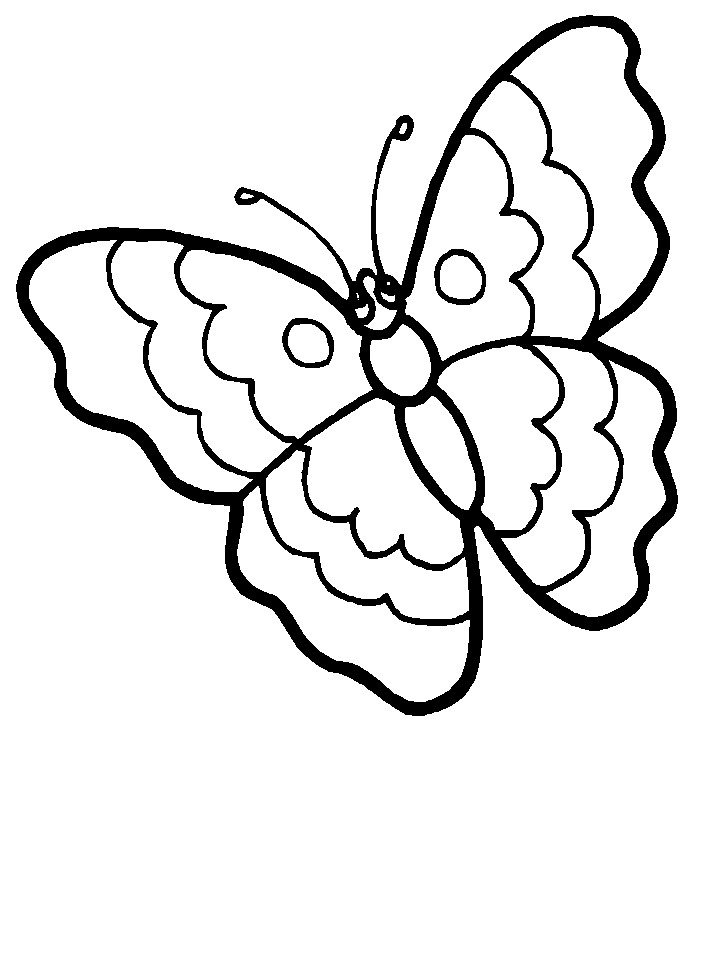 disegni farfalle da colorare