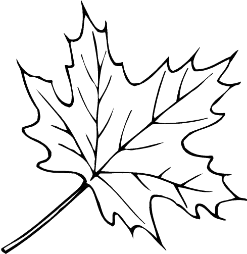 disegni foglie da colorare