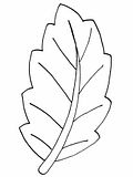 disegni foglie da colorare