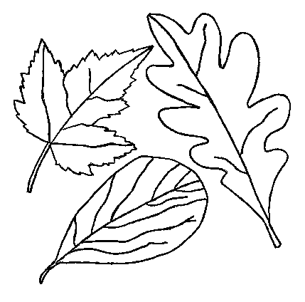 disegni foglie da colorare