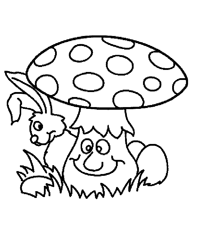 disegni funghi colorare