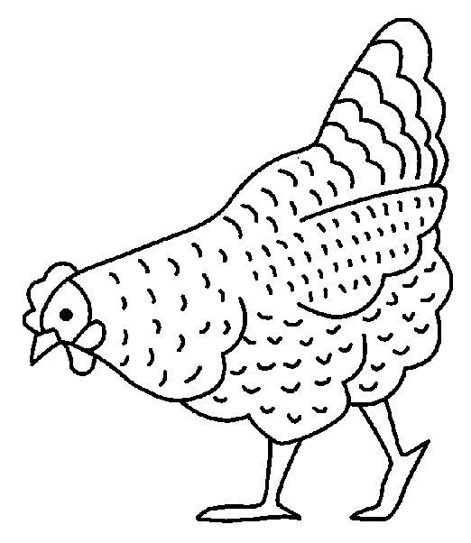 disegni galline colorare