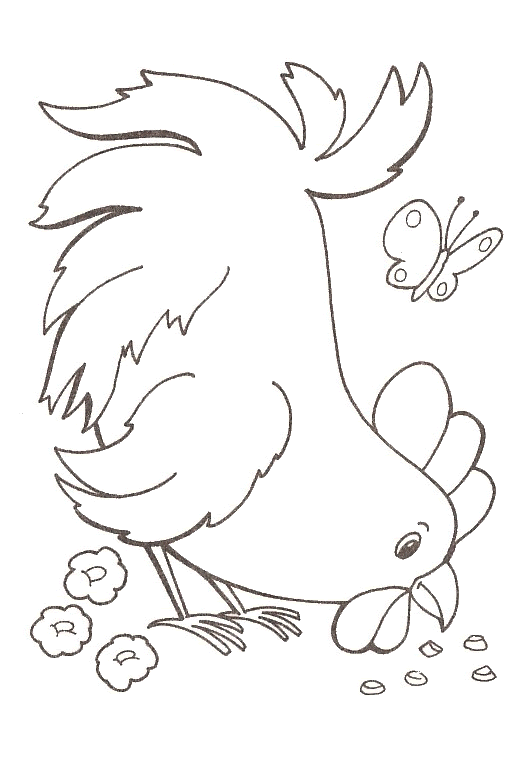 disegni galline colorare