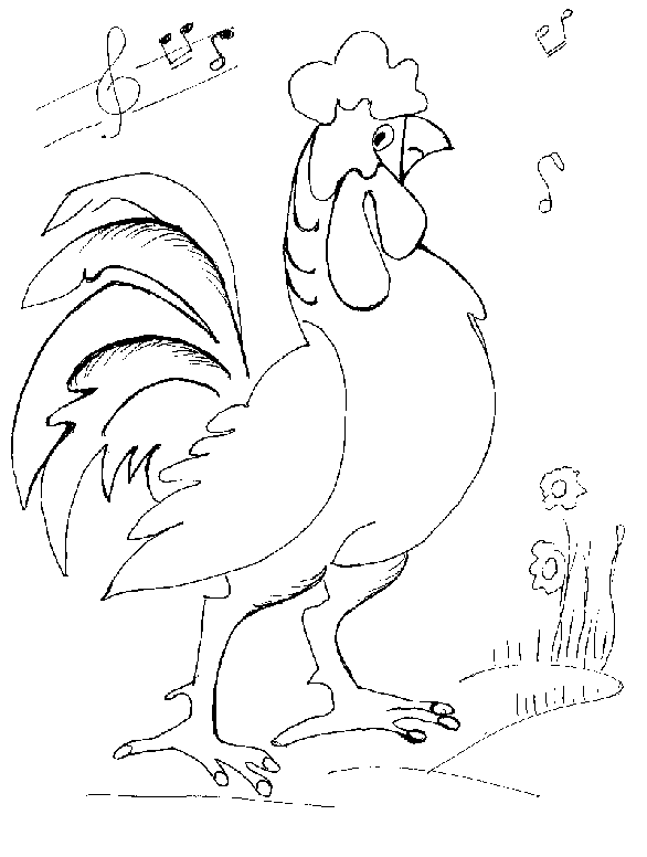 disegni gallo colorare