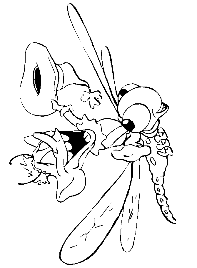 disegni libellule da colorare