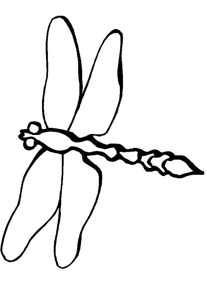 disegni libellule da colorare