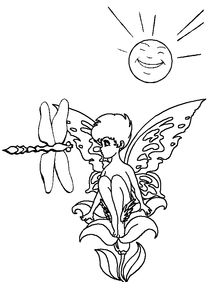 disegni libellule da colorare