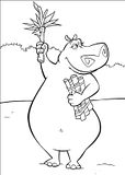 disegni madagascar da colorare