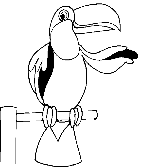 disegni pappagalli da colorare