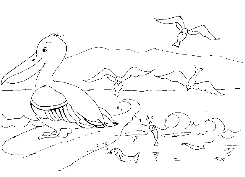 disegni pellicano da colorare