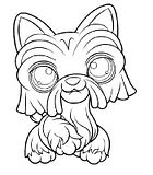disegni petshop potam poney da colorare