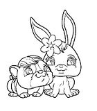 disegni petshop potam poney da colorare