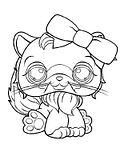 disegni petshop potam poney da colorare