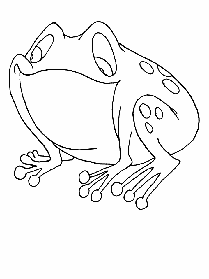 disegni rane da colorare