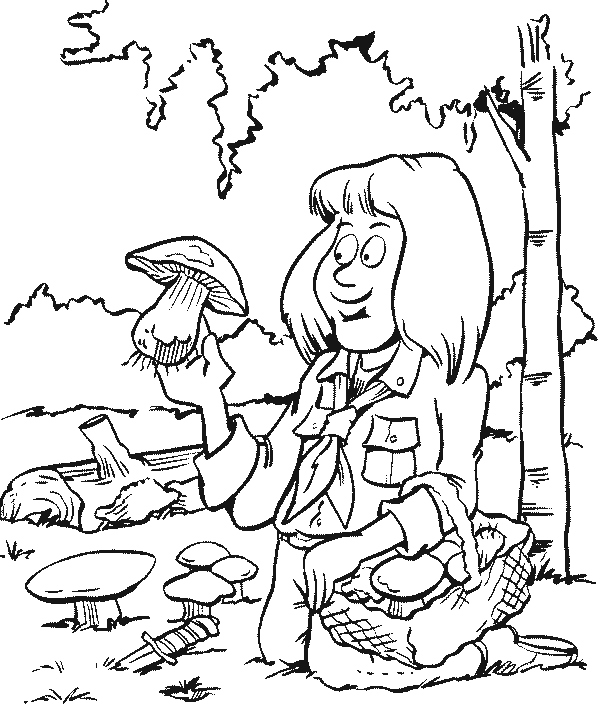 disegni scouts da colorare