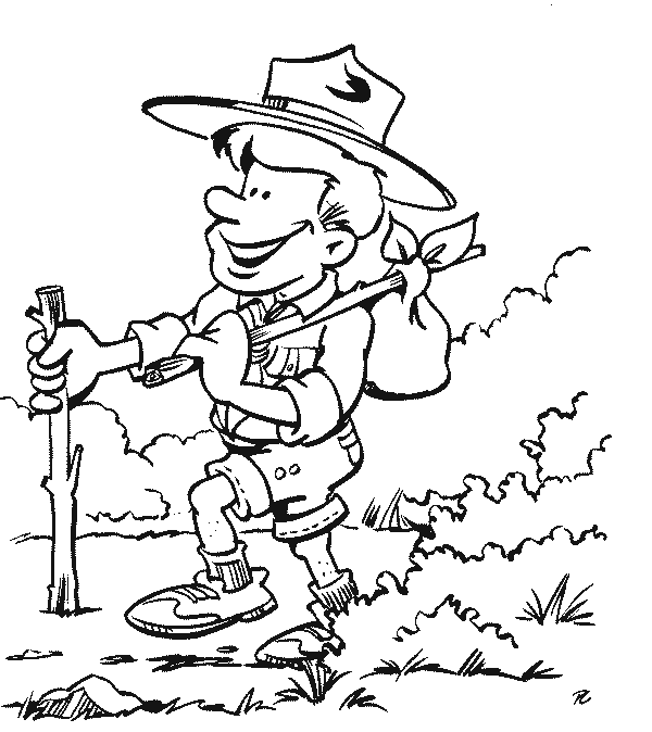 disegni scouts da colorare
