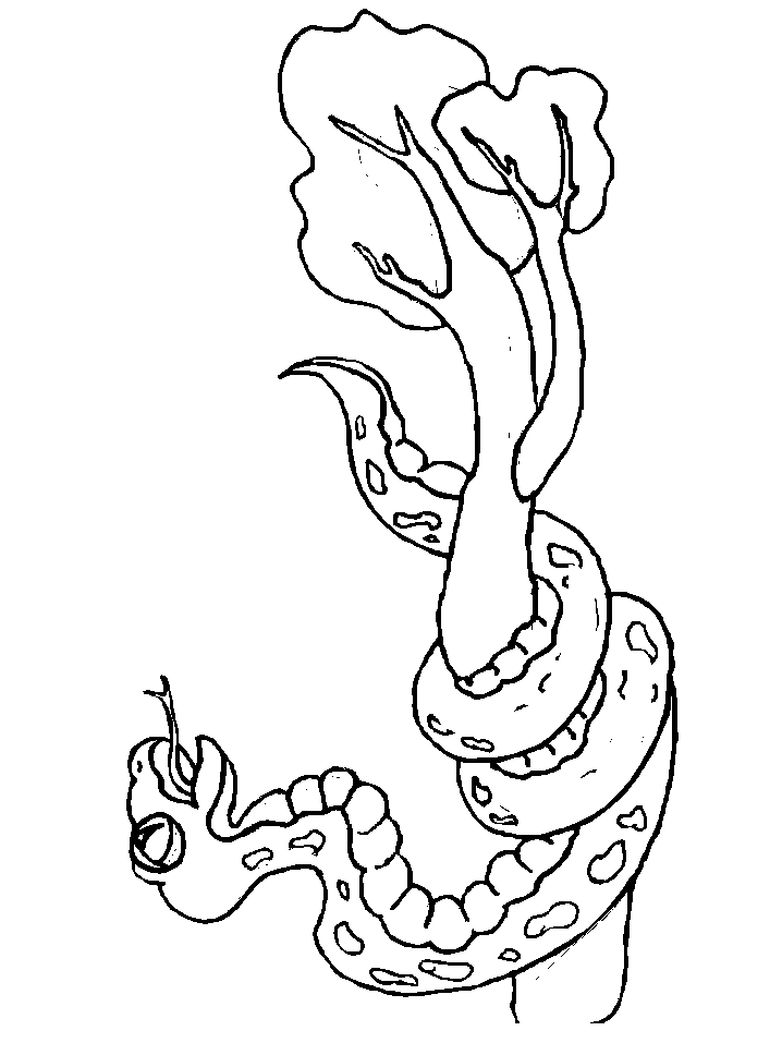 disegni serpenti da colorare