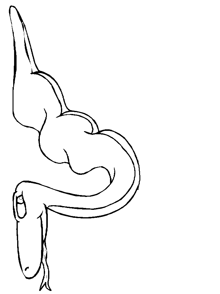 disegni serpenti da colorare