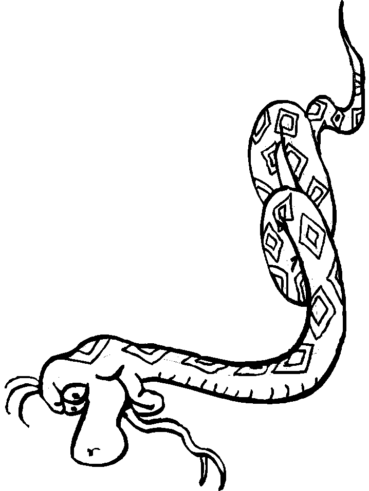 disegni serpenti da colorare