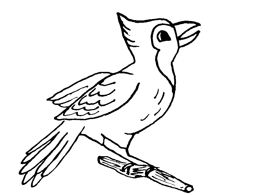 disegni uccelli da colorare