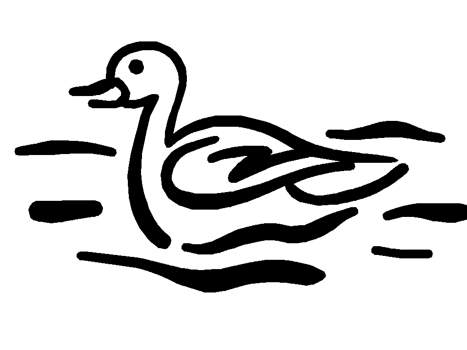 disegni uccelli da colorare