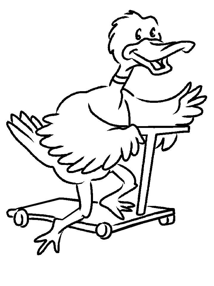 disegni uccelli da colorare